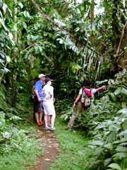 Bali Jungle Trekking
