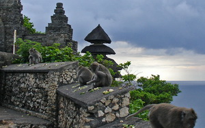 Gambar Pura Uluwatu dan Monyetnya yang nakal