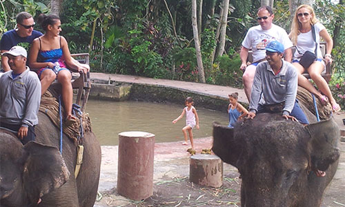 Bali Elephant Tours Image