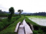 Balinese Water Irrigation System
