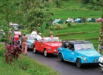 Bali VW Safari