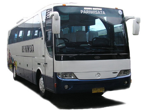 bus-45-seats