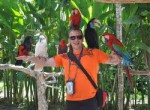Touching The Bird at Bali Bird Park