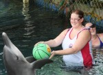 Interactive With Dolphin Bali