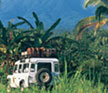 waka-land-cruise-adventure-entering-hidden-villages Waka Four Wheel Drive Jeep Car
