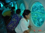 Bali Odyssey Submarine Photo from Cabin