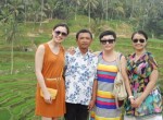 Bali Rice Terrace Sightseeing Tour Program