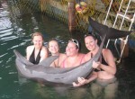 Bali Dolphin Activities