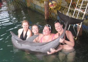 interactive-with-bali-dolphin