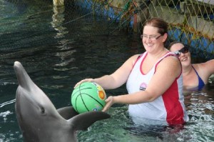 interactive-with-dolphin-bali