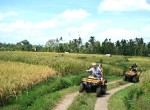 Bali Quad Ride
