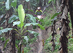 Bali Trail Bike Adventure